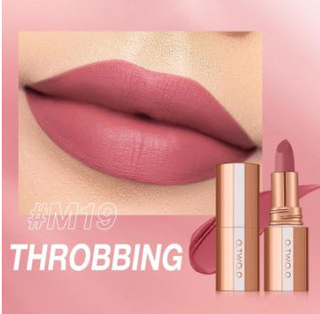 Lipstick Lip Tint Matte Long Lasting Waterproof Velvet Not